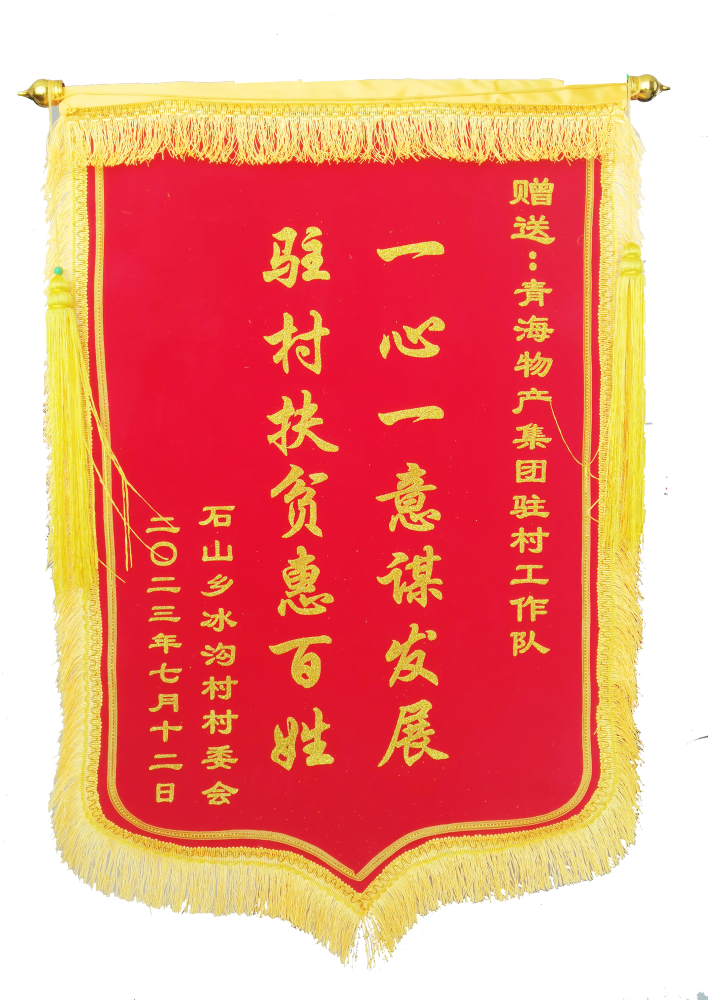 駐村幫扶惠百姓 情滿冰溝暖人心 &mdash;&mdash;省物產(chǎn)集團(tuán)駐村工作隊(duì)期滿離任獲贈(zèng)錦旗