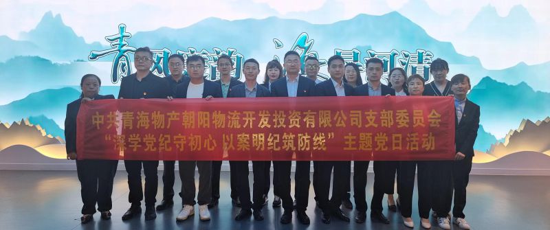 朝物開投公司黨支部召開&ldquo;深學黨紀守初心 以案明紀筑防線&rdquo;主題黨日活動